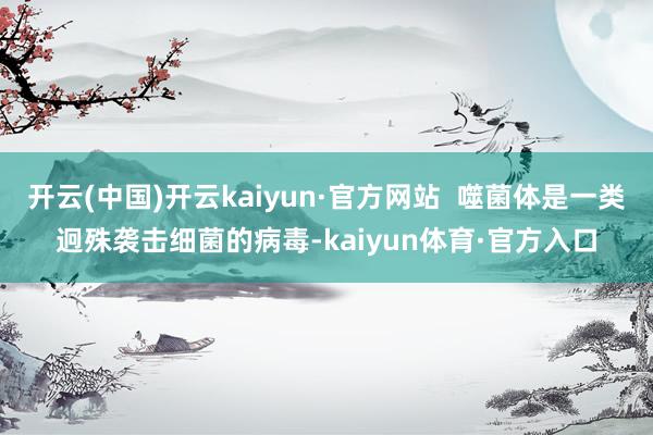 开云(中国)开云kaiyun·官方网站  噬菌体是一类迥殊袭击细菌的病毒-kaiyun体育·官方入口