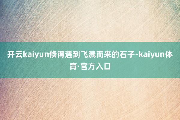 开云kaiyun倏得遇到飞溅而来的石子-kaiyun体育·官方入口