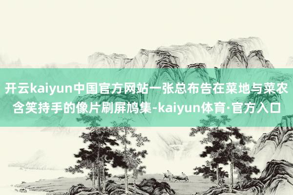 开云kaiyun中国官方网站一张总布告在菜地与菜农含笑持手的像片刷屏鸠集-kaiyun体育·官方入口