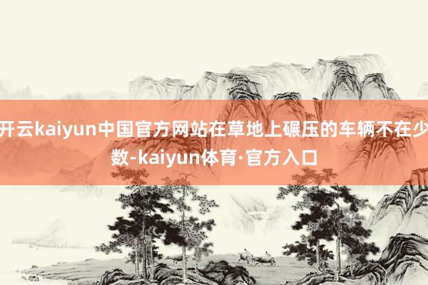 开云kaiyun中国官方网站在草地上碾压的车辆不在少数-kaiyun体育·官方入口