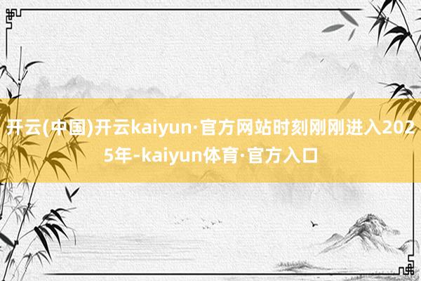 开云(中国)开云kaiyun·官方网站时刻刚刚进入2025年-kaiyun体育·官方入口